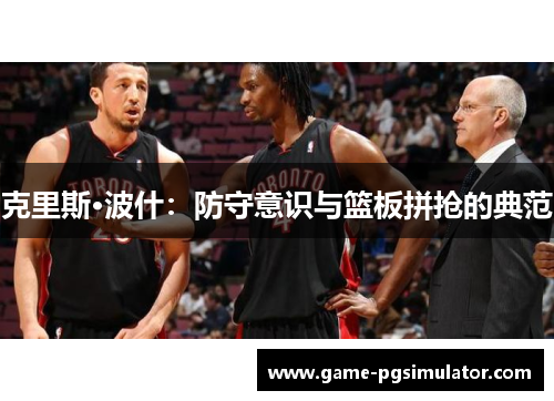 克里斯·波什：防守意识与篮板拼抢的典范
