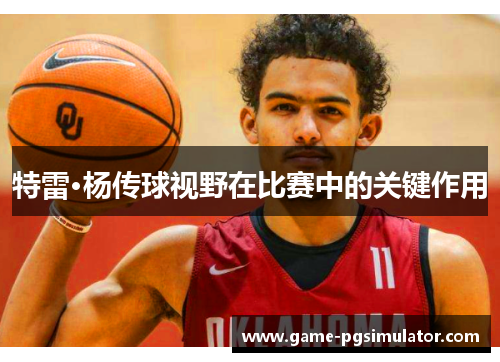 特雷·杨传球视野在比赛中的关键作用