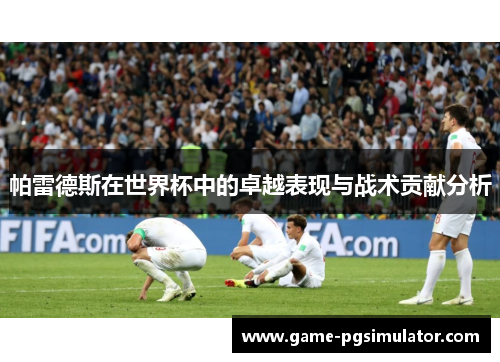 帕雷德斯在世界杯中的卓越表现与战术贡献分析