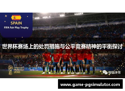 世界杯赛场上的处罚措施与公平竞赛精神的平衡探讨