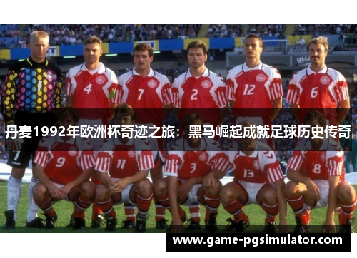 丹麦1992年欧洲杯奇迹之旅：黑马崛起成就足球历史传奇
