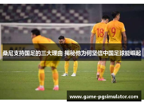 桑尼支持国足的三大理由 揭秘他为何坚信中国足球能崛起