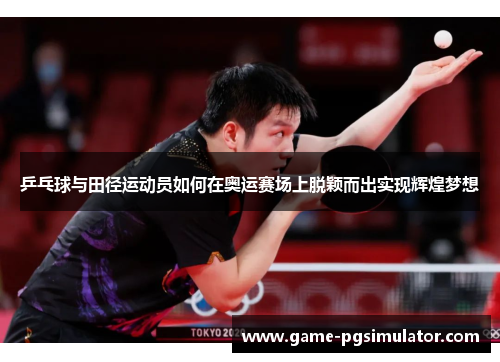 乒乓球与田径运动员如何在奥运赛场上脱颖而出实现辉煌梦想