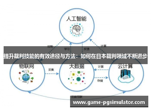 提升裁判技能的有效途径与方法：如何在日本裁判领域不断进步
