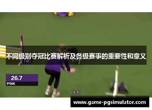 不同级别夺冠比赛解析及各级赛事的重要性和意义